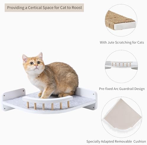 Cat Wall Shelves - Image 5