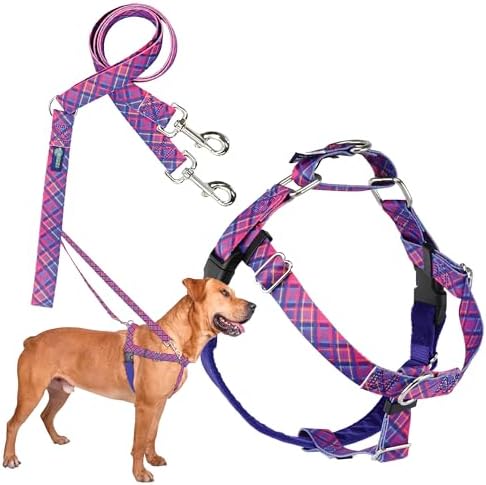 2 Hounds Design by 2HoundsDesign