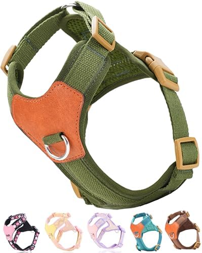 Green xs Dog Harness for Small Dogs, No Pull Dog Harness by SOLMOONY