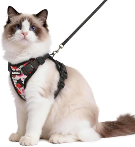 rabbitgoo Cat Harness and Leash Set, Escape Proof Vest, Berry Pounce by rabbitgoo