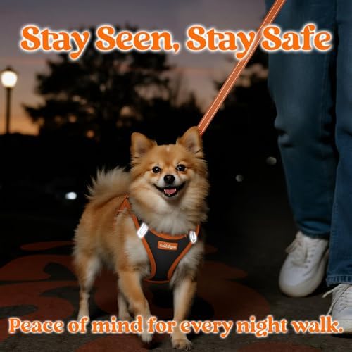 rabbitgoo Dog Harness Small Sized and Leash Set, Step in Soft Vest - Image 4