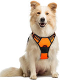 rabbitgoo Dog Harness, No Pull Medium Sized by rabbitgoo
