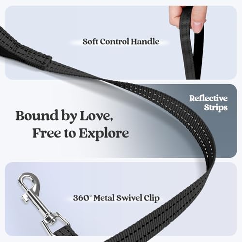 rabbitgoo Dog Harness Small Sized and Leash Set, Step-in Puppy Pet Vest - Image 6