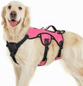 rabbitgoo Escape Proof Dog Harness by rabbitgoo