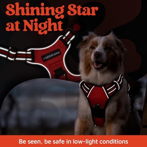 rabbitgoo Dog Harness Medium Sized, No Pull 3 Buckles Easy On & Off - Image 6