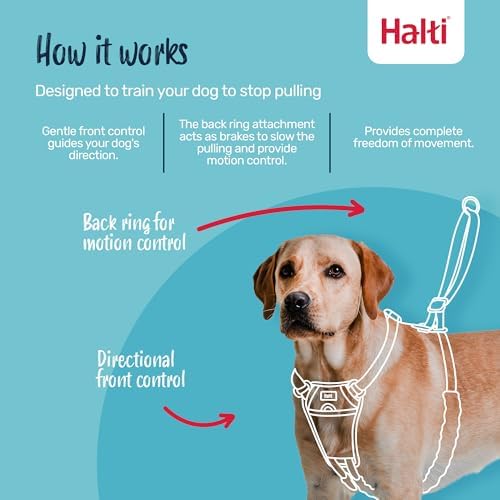 Halti No Pull Dog Harness | Size S, Deep Walnut - Image 2