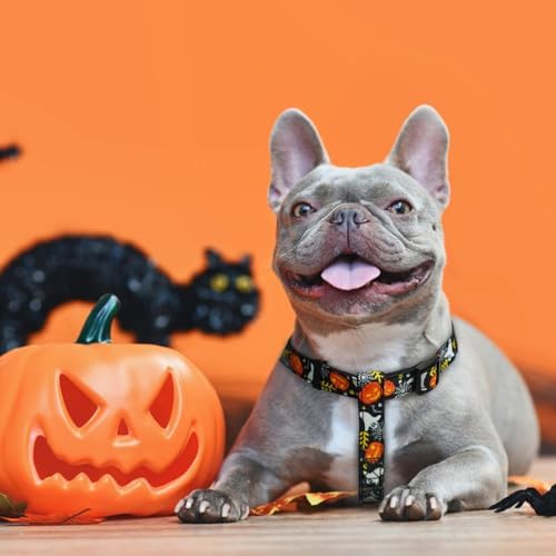 PUPTECK Halloween Dog Harness Medium Sized Step-in Adjustable Puppy Vest - Image 5