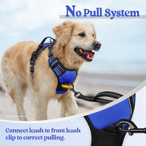 rabbitgoo Dog Harness, No Pull for Large Dogs - Image 5