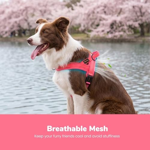 Didog No Pull Dog Harness for Medium Dogs, Breathable Mesh Padded - Image 2