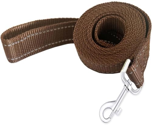 Reflective Dog Leash 4Ft /5 Foot /6 Feet Long, 1 Inch Wide, by TAIDA