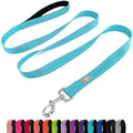 6 FT Basic Dog Leash for Large Dogs, Sky Blue by Penseepet