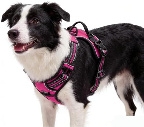 Hot Pink No-Pull Dog Harness by Unknown