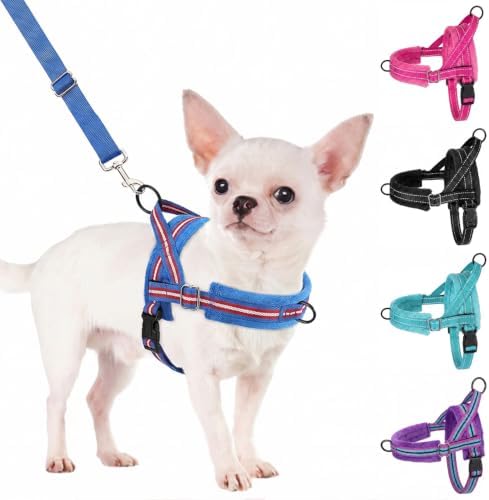SlowTon No Pull Small Dog Harness and Leash Set by SlowTon