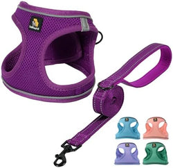 BELLA & PAL Step in Puppy Harness and Leash Set by BELLAPAL