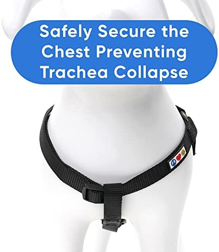Pawtitas Solid Step-in Dog Harness – Adjustable No-Pull Vest - Image 5