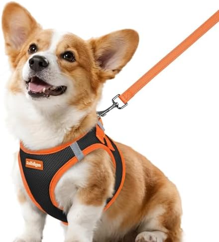 rabbitgoo Dog Harness Small Sized and Leash Set, Step in Soft Vest by rabbitgoo