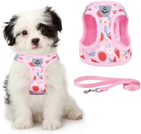 KOOLTAIL Dog Harness and Leash Set by KOOLTAIL