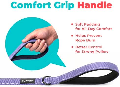 Best Pet Supplies Voyager Nylon Dog Leash - Image 5