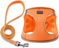Dog Harness with Leash Set, Step-in Adjustable Puppy Pet Vest by BOOMIBOO