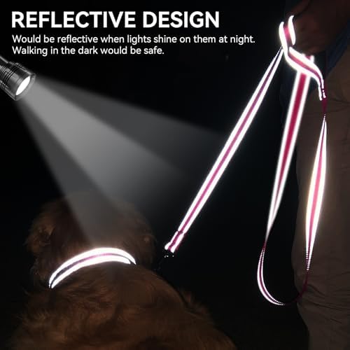 Joytale Reflective Dog Leash for Medium & Large Dogs, 5 FT x 1" - Image 4