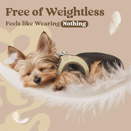 rabbitgoo Step-in Small Dog Harness, Puppy Vest - Image 3