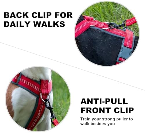 Plutus Pet No Pull Dog Harness, Adjustable Nylon Harness - Image 4