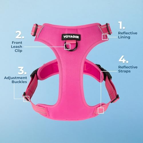 Voyager Dog Harness Dual Leash Attachment No-Pull Control Adjustable Soft but - Image 5