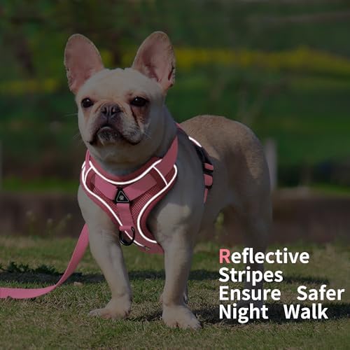 Dog Harness Small Sized Dog Pet Vest - Image 5