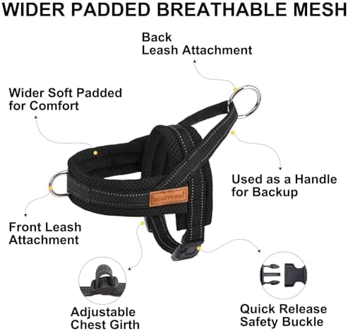 BEAUTYZOO Dog Harness for Large Dogs, No Pull Step in Pet Vest and Leash Set - Image 4
