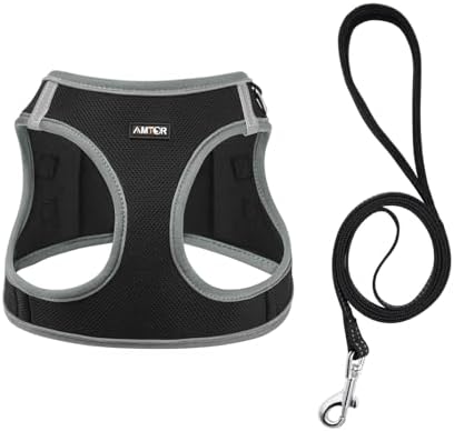 AMTOR Small Dog Harness with Leash Set, No Escape Easy Walk Puppy Harnesses - Image 2