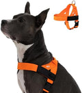 Dog Friendly Co. Dog Harness for Large Breeds by DogFriendly