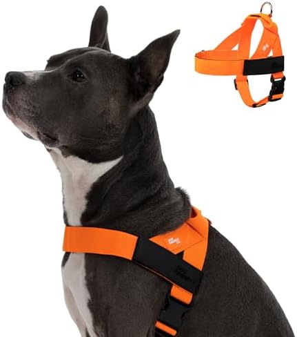 Dog Friendly Co. Dog Harness for Medium Sized Dogs by DogFriendly