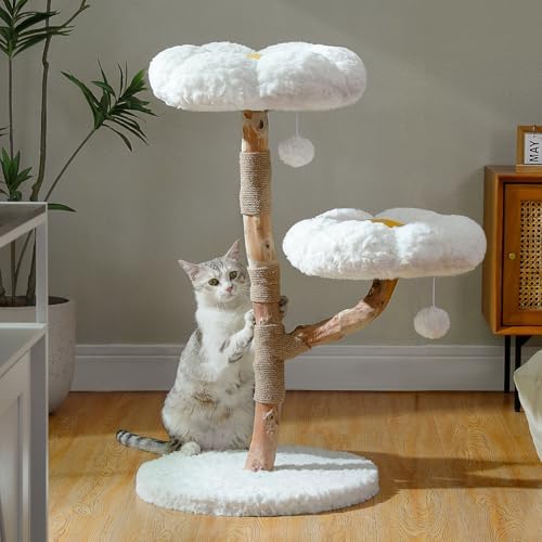 MUTTROS Wood Flower Cat Tree, Modern Cat Tower by MUTTROS