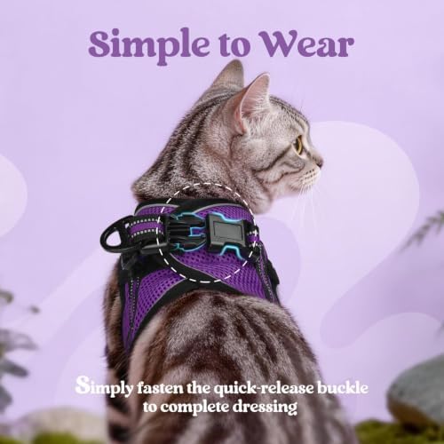 rabbitgoo Cat Harness and Leash Set, Step-in Soft Vest - Image 5