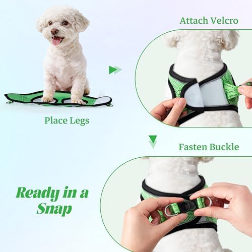 No Pull Dog Puppy Harness and Leash Set Reflective Mesh Vest Large - Image 4
