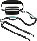 Hands Free Dog Leash, Dog Leashes by Yicostar