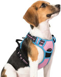 rabbitgoo Dog Harness, No Pull Medium Sized by rabbitgoo
