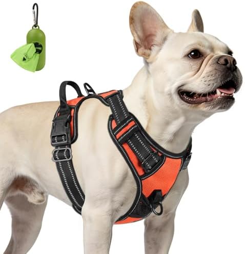 Joytale No Pull Dog Harness for Small Dogs, Front Clip by Joytale