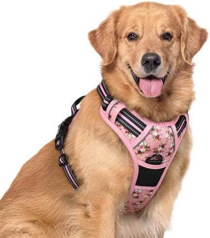 rabbitgoo Dog Harness, No Pull for Large Dogs by rabbitgoo