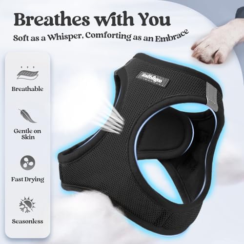 rabbitgoo Dog Harness Small Sized and Leash Set, Step-in Puppy Pet Vest - Image 4