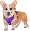 BARKBAY No Pull Dog Harness Large Reflective Dog Harness by BARKBAY