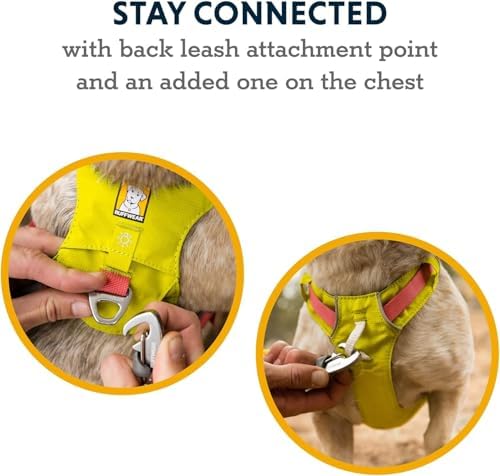 Ruffwear, Hi & Light Dog Chest Harness, Lichen Green - Image 4