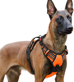 rabbitgoo Dog Harness for Large, Updated Easy On & Off by rabbitgoo