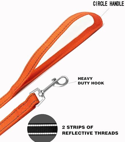 Nylon Training Dog Leash for Small Medium Dogs, 15ft 20ft 30ft 50ft 100ft - Image 5