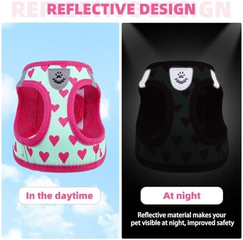 KOOLTAIL Valentines Dog Harness and Leash Set - Image 5