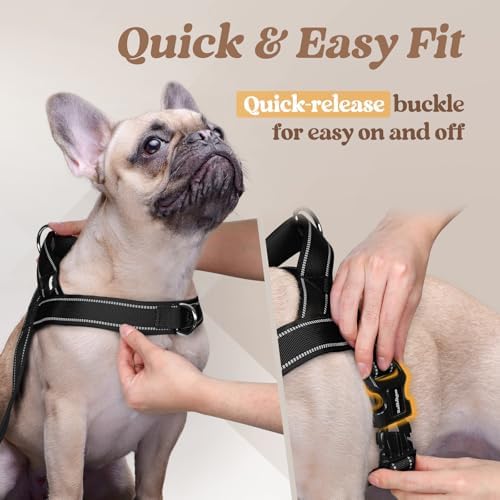 rabbitgoo Dog Harness No Pull, Quick Fit - Image 4