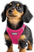 rabbitgoo Step-in Small Dog Harness, Puppy Vest by rabbitgoo