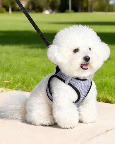 Dog Harness Small Sized and Leash Set, Step in Soft Light Puppy Vest, - Image 6