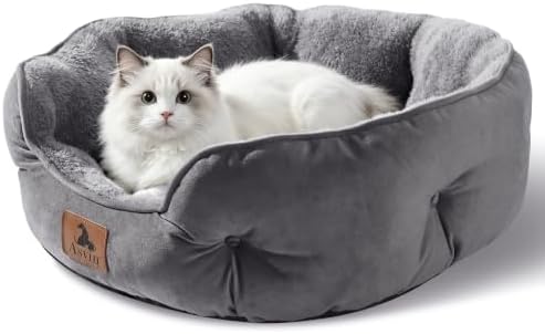 Asvin Small Dog Bed for Small Dogs, Cat Beds for Indoor Cats, Pet Bed for Puppy - Image 2