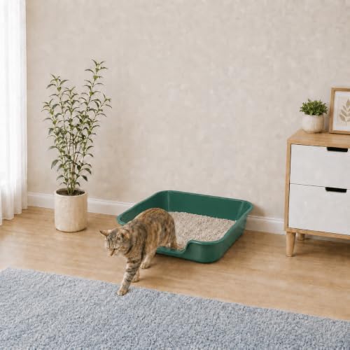 Extra Large Low Entry ABS Cat Litter Box, 2 Pack - Image 4